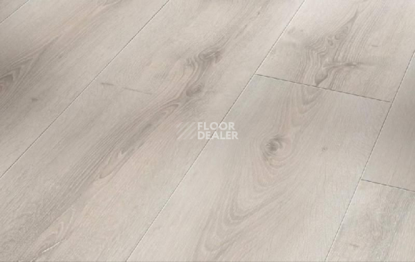 Ламинат Parador Basic Plus 600 XS 1593828 Дуб Аскада Выбеленный фото 1 | FLOORDEALER